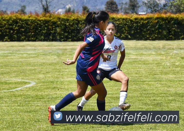 奖项3